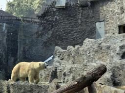 Impressionen der Campwoche