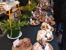 Partner Sogliano al Rubicone